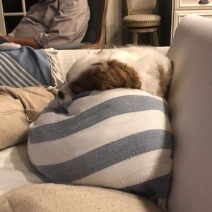 Meet your Posher, Erin